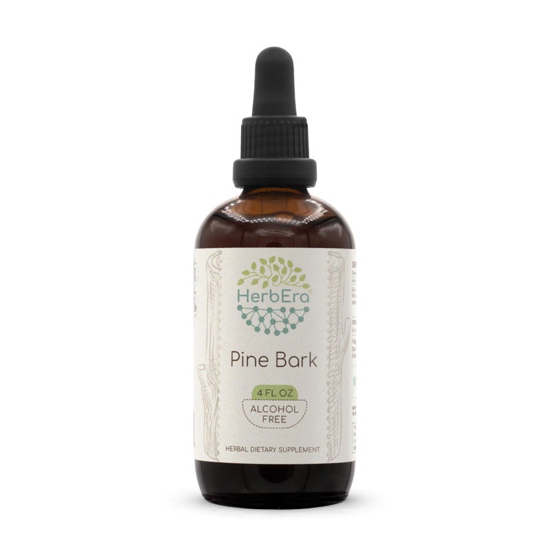 HerbEra Pine Bark B120 AlcoholFree Herbal Extract Tincture Concentrated Liquid Drops Natural Pine Bark Proanthocyanidin Dried Bark 4 fl oz